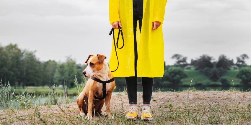 kobieta na jesiennym spacerze z psem