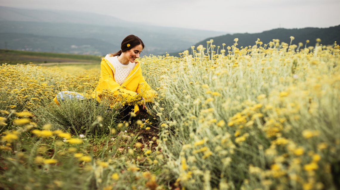 Tekst o adaptogenach i ich wpływie na stres. Na zdjęciu: Kobieta w żółtej kurtce zbierająca kwiaty - HelloZdrowie