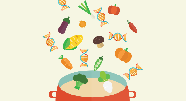 Nutrigenomika – jak karmić geny