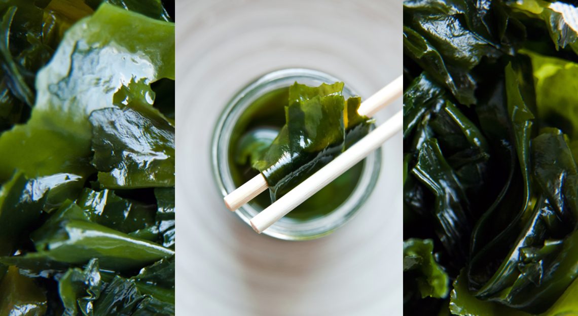 Tekst o przepisach kulinarnych z wykorzystaniem alg. Na zdjęciu: Zbliżenie jedzenia - HelloZdrowie
