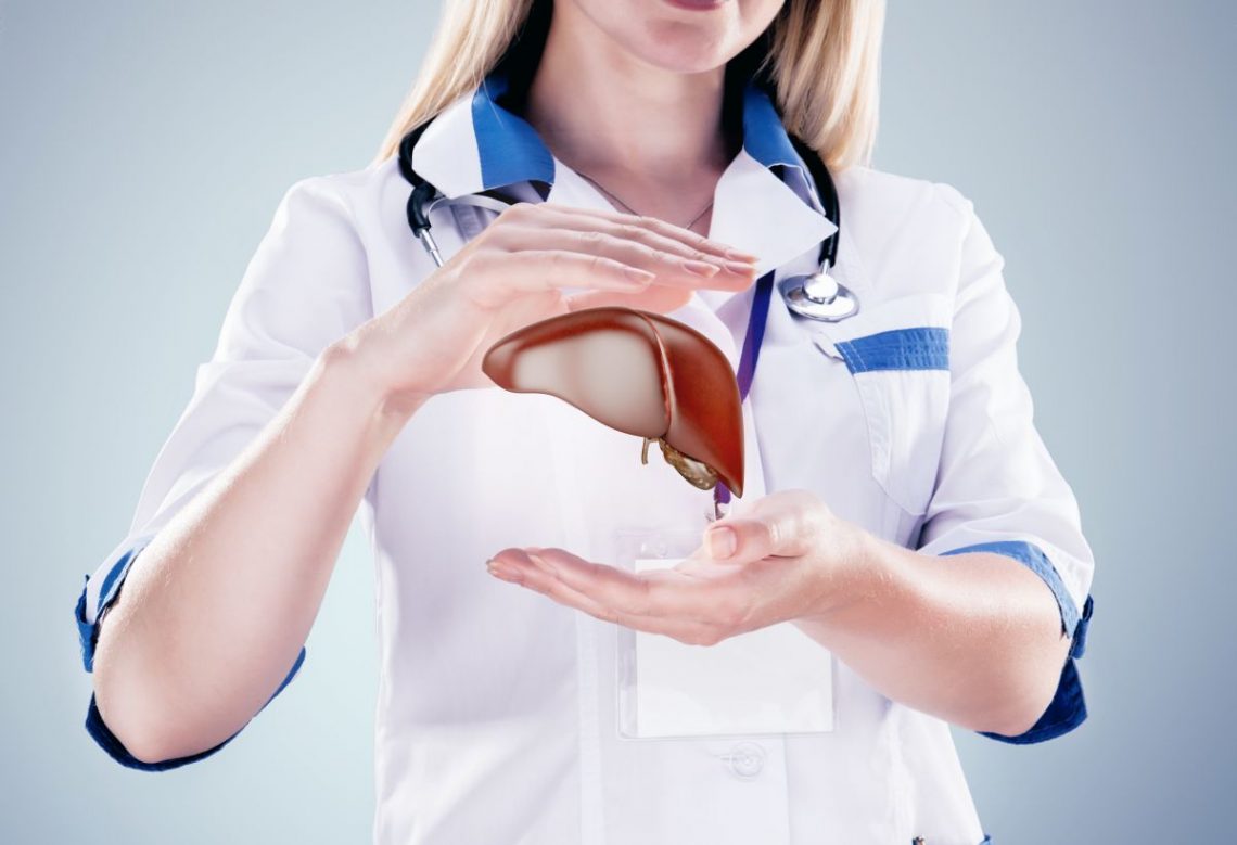 kobieta lekarz trzyma w dłoniach wizualizację wątroby
