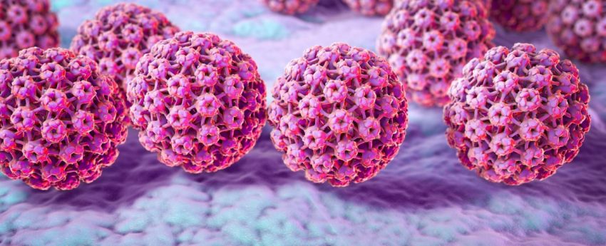 wirus HPV w 3D