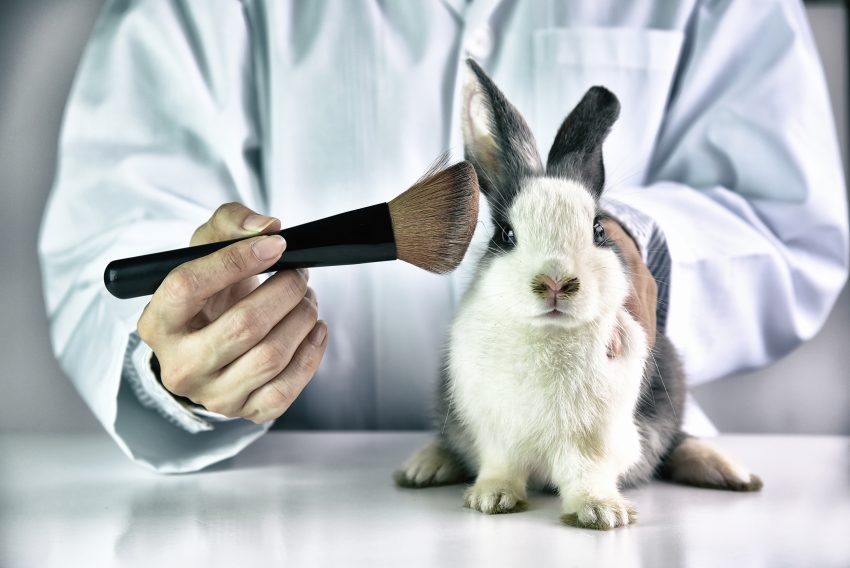kosmetyki testowanie na zwierzętach