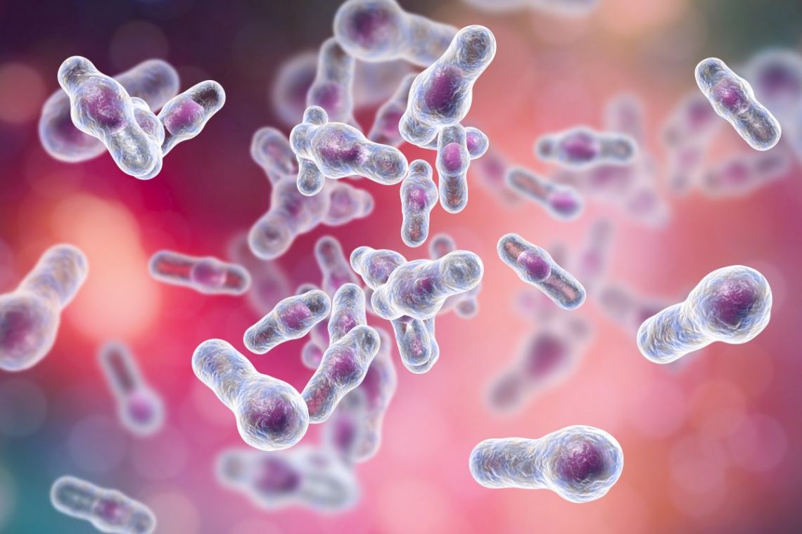 Pływające bakterie na odporność