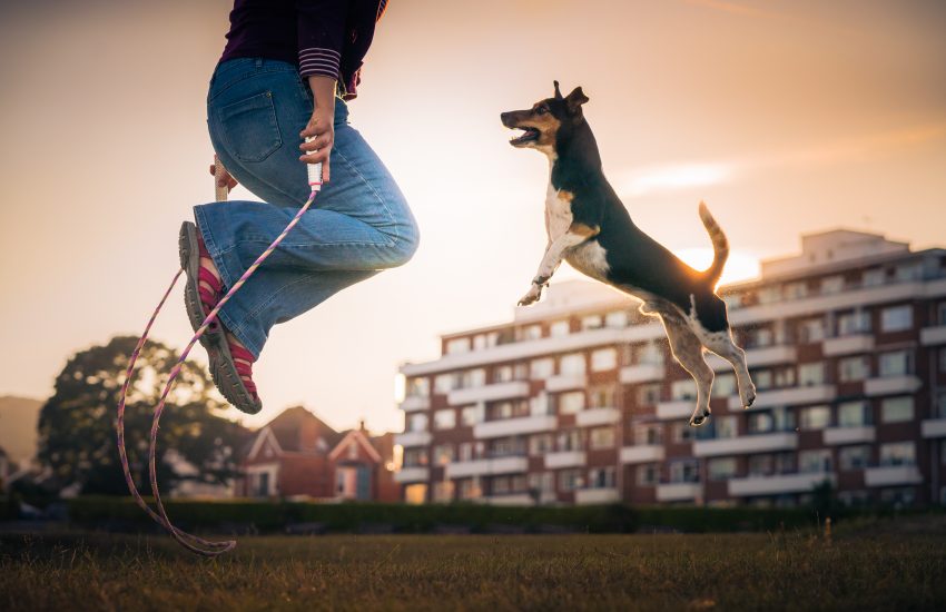 Tekst o zwycięzcach konkursu fotografii psów 2019. Na zdjęciu: Osoba skacząca w powietrzu z psem - HelloZdrowie