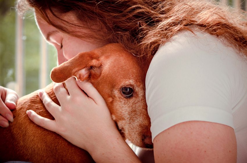 Tekst o zwycięzcach konkursu fotografii psów 2019. Na zdjęciu: Kobieta trzymająca psa - HelloZdrowie