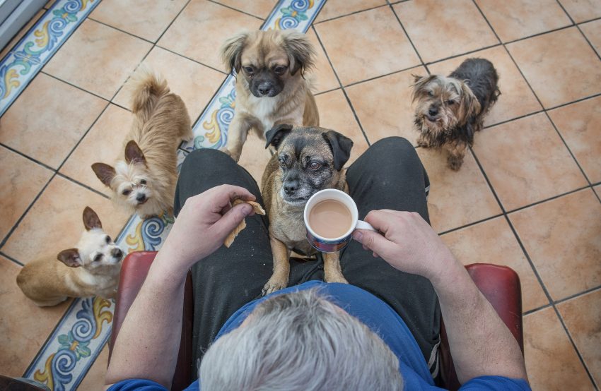 Tekst o zwycięzcach konkursu fotografii psów 2019. Na zdjęciu: Mężczyzna siedzący na krześle z filiżanką kawy i psami - HelloZdrowie