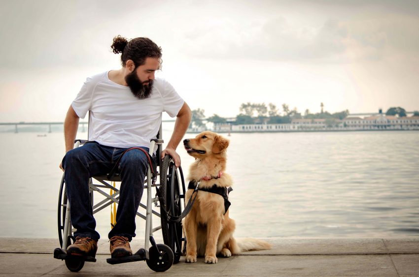 Tekst o zwycięzcach konkursu fotografii psów 2019. Na zdjęciu: Mężczyzna na wózku inwalidzkim z psem - HelloZdrowie