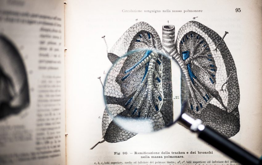 książka do anatomii, płuca
