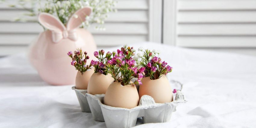 Co zrobić ze skorupkami jajek po Wielkanocy? Podpowiadamy, jak je możesz wykorzystać