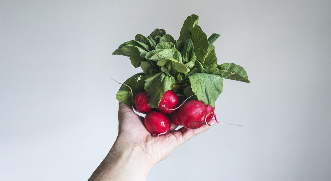 Tekst o owocach i warzywach wspomagających nawodnienie organizmu. Na zdjęciu: Ręka trzymająca pęczek rzodkiewek - HelloZdrowie