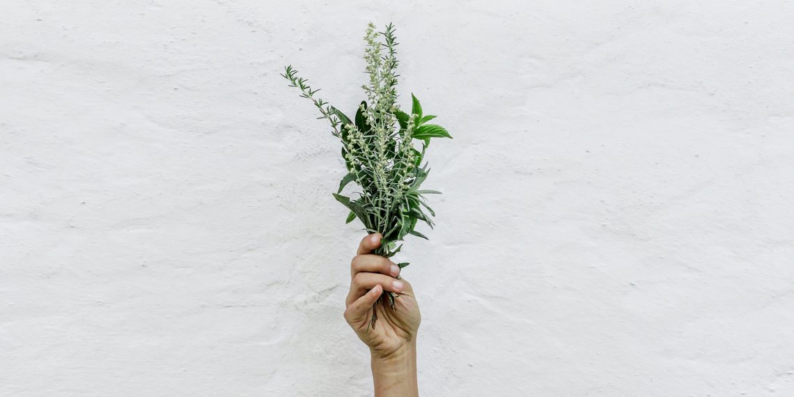 Tekst o prozdrowotnych ziołach i przyprawach do potraw. Na zdjęciu: Ręka trzymająca wiązkę zielonych roślin - HelloZdrowie