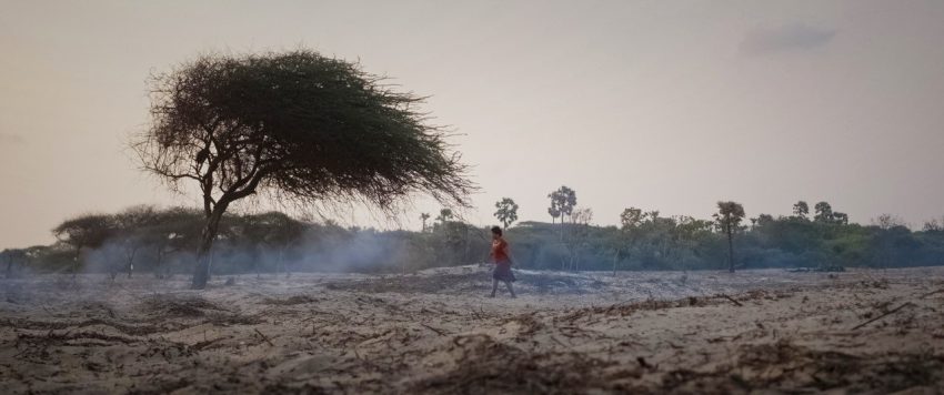 Tekst o wojennych traumach tamilskich wojowniczek. Na zdjęciu: Osoba idąca po polnej drodze - HelloZdrowie