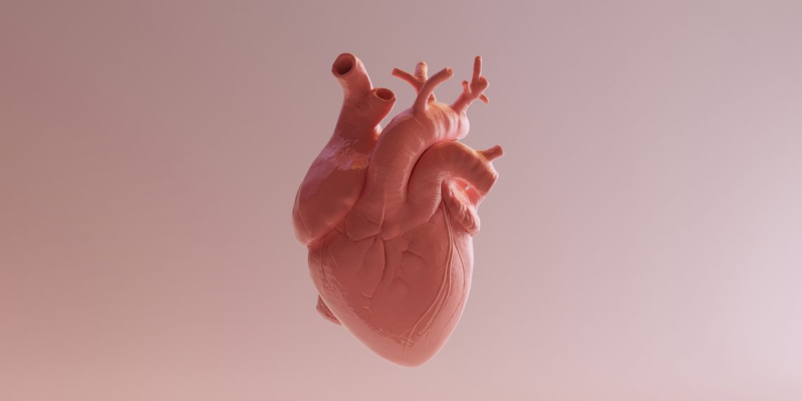 Tekst o kardiowersji elektrycznej: procedura, wskazania, ryzyka. Na zdjęciu: Ludzkie serce bez tła - HelloZdrowie