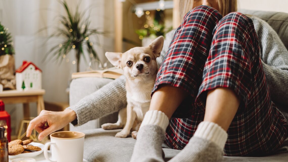 na zdjęciu: kobieta siedzi w piżamie na kanapie, obok niej siedzi piesek, tekst o hygge i lagom - skandynawskich filozofiach szczęścia - Hello Zdrowie