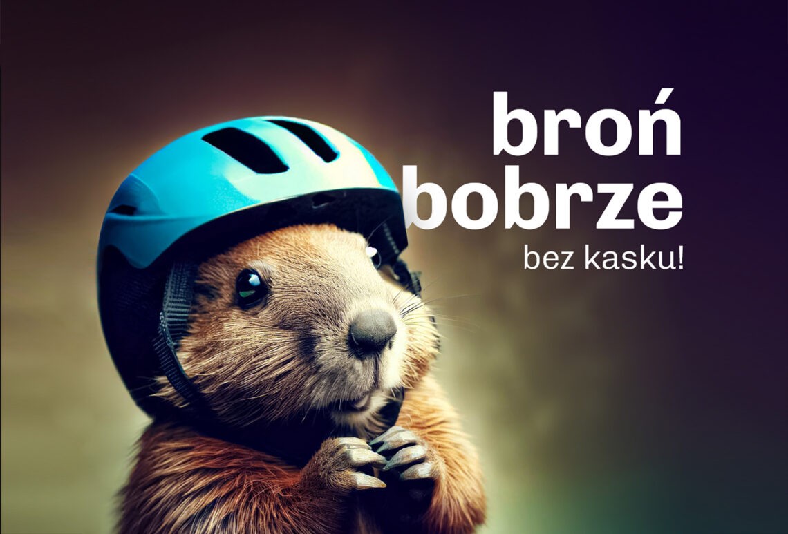 Na zdjęciu jedno z haseł reklamowych kampanii dla rowerzystów: zdjęcia bobra i napis: "Broń bobrze bez kasku"- HelloZdrowie