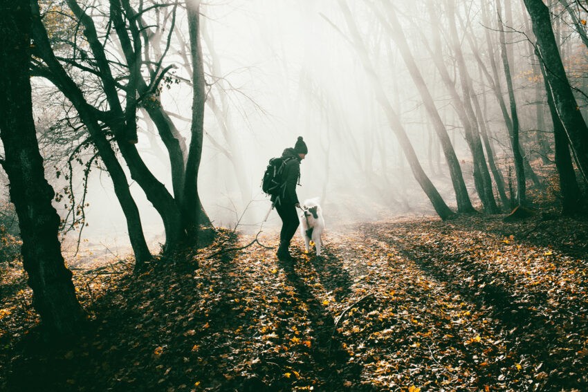Na zdjęciu kobieta w lesie na spacerze z psem- HelloZdrowie
