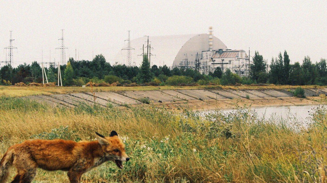 Na zdjęciu teren Czarnobyla - Hello Zdrowie