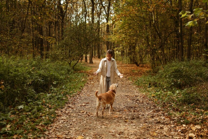 Kobieta z psem na spacerze w lesie