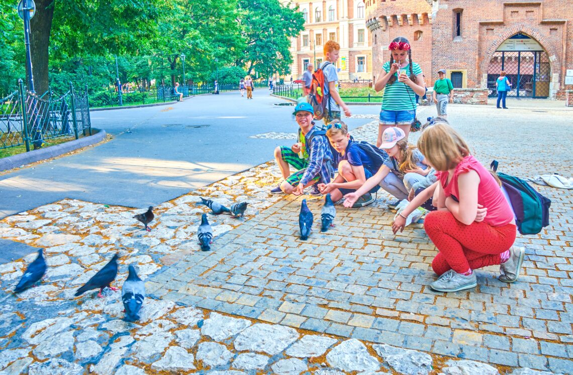 Dzieci kucają na rynku z Krakowie i karmią gołębie- Hello Zdrowie