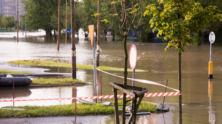 Zalane miasto, tekst o tym, że powodzianie powinni się zaszczepić