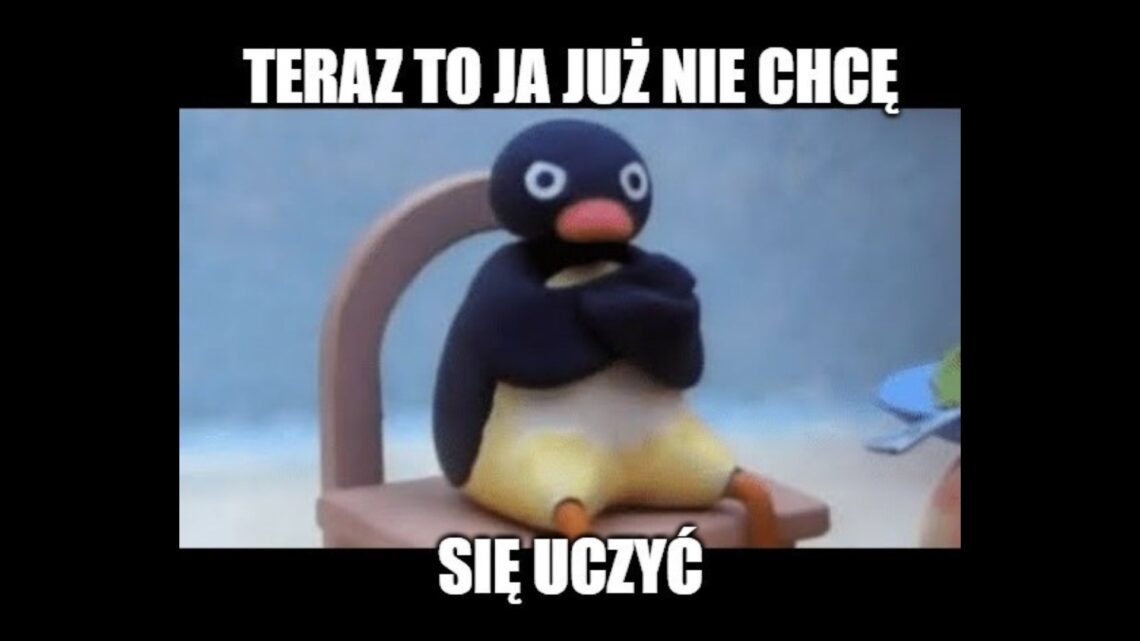 na zdjęciu: mem z pingwinem i podpisem "teraz to ja już nie chcę się uczyć", tekst o tym, czy jesteśmy świadkami upadku nauki - Hello Zdrowie